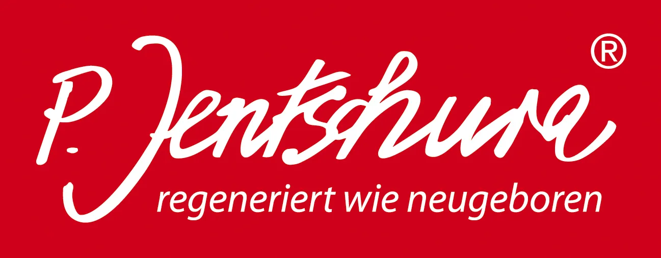 p jentschura logo